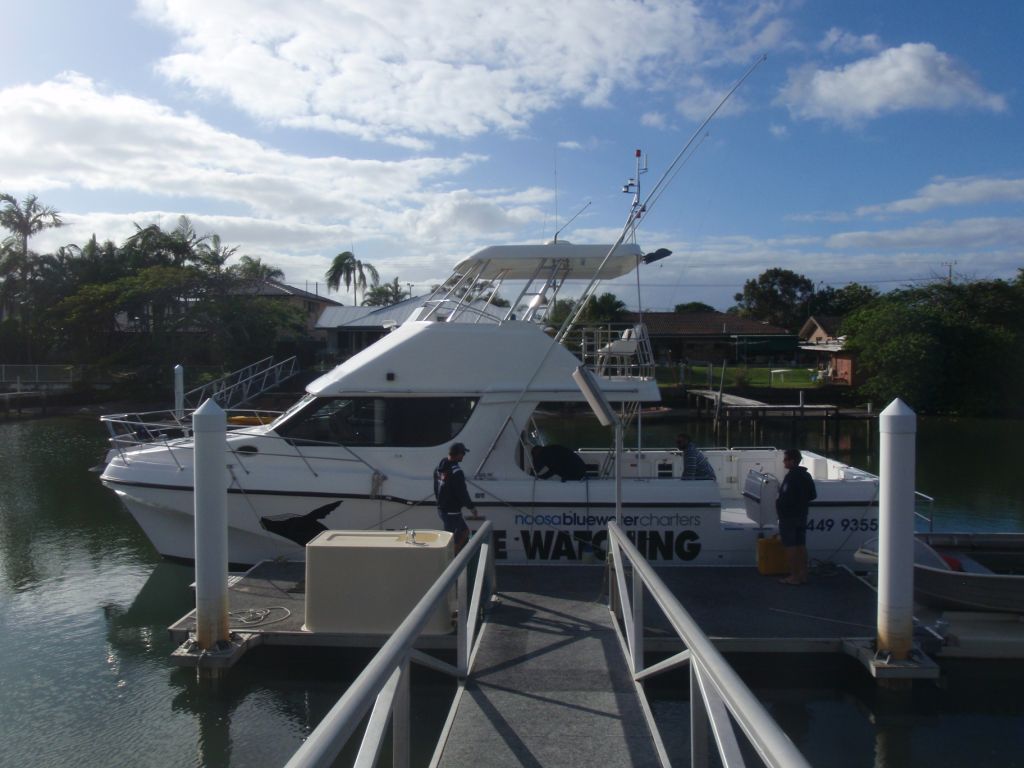 Noosa Blue